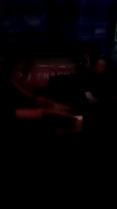 pdc 2fet jumbo trafo jumbo full protek/flip flop speak nila