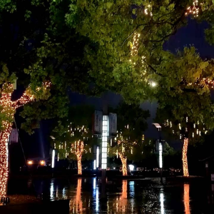 L1146 Lampu Tumbler 42 LED 8 Meter / Lampu Hias Natal / Lampu LED Dekorasi Rumah / Colorful Lights