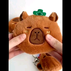 GRADUATION GIFT Dompet koin capybara / capybara pouch (IMPORT-READY STOCK