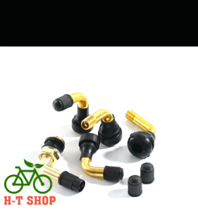 Van vòi hơi không săm xe đạp điện xe máy điện ô tô