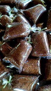 ตุ้มตอนกิ่ง ชุด 15 ตุ้ม แถมฟรี 2 (ผสมน้ำยาเร่งรากพร้อมใช้งาน)