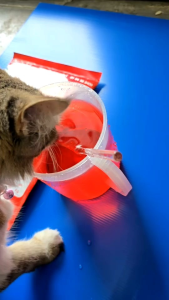 ฟาร์ม่าวิท PHARMA VIT 100g. อาหารเสริมสำหรับสัตว์เลี้ยง