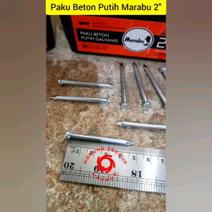 (25 pcs) Paku Beton Putih 2\" / Paku Tembok 5CM