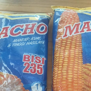 BENIH JAGUNG MACHO BISI 235 1KG