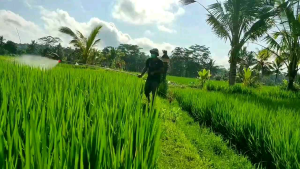 stik sprayer antena stik sprayer elektrik manual panjang 3 meter