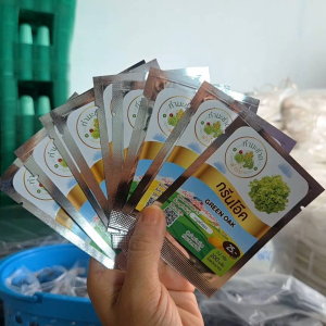 เมล็ดพันธุ์ผักสลัดประมาณ 200 เมล็ด ทำมะชาดฟาร์ม การันตีอัตราการงอก ** 10ฟรี1**