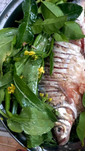 ส้มปลาตะเพียน (ไข่เต็มท้อง)