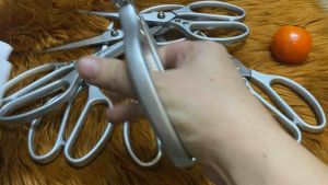 Kéo cắt gà Nhật chính hãng sắc bén không rỉ cầm chắc tay chất lượng hoàn hảo