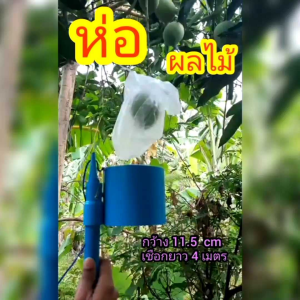ที่ห่อผลไม้ ห่อผลมะม่วง หัวห่อผลไม้ เครื่องห่อผลไม้ เครื่องห่อผลไม้ ราคา - Lazada