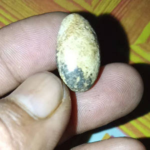batu posil biji buah rambutan asli alam