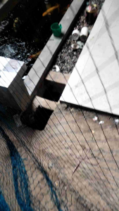 jaring serbagunajaring unggasjaring nilon  ukuran bahan tggi 15x15m