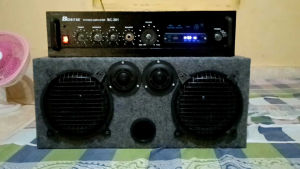 Speaker Pasif Box Double + Speaker ACR 6 Inc Max 100 Watt
