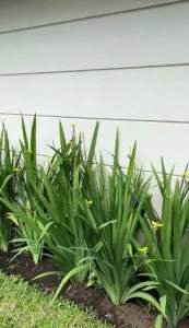 BELLITA DRESS KONDANGAN WANITA BROKAT