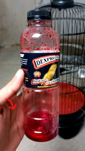 DEXPRO 87 VITAMIN DEXPRO87 PENGGACOR BURUNG PLECI SOGON KONIN BEST SELLER