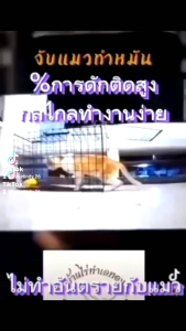 กรงดักแมว กรงจับแมวเล็กและแมวกลาง กรงSize L (ก30*ส30*ย60cm)