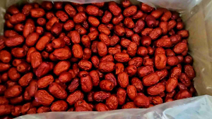 L Size 新疆 若疆 红枣 特级 Xing Jiang Red Dates Jujube  10kg