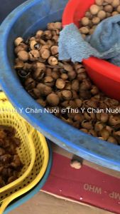 Sidiru – Bột Diệt Ruồi Siêu Nhanh Không Mùi Hiệu Quả Lâu Dài 1Kg