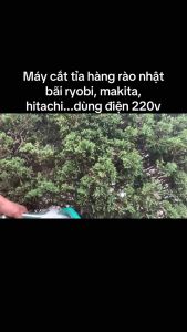 Máy cắt hàng rào cắt cỏ cây cảnh nhật bãi máy hoạt động tốt dùng điện 220v
