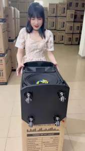 Loa Karaoke di động Nanomax SK-12F3 (Bass 3 Tấc 30cm Công Suất 450w Karaoke Bluetooth