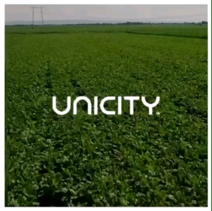 Soy protein Unicity ยูนิซิตี้ ซอยโปรตีน ฉลากไทย แท้100%