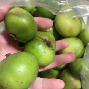 FRESH BATWAN Ship Nationwide COD Fast Shipping Legit 100%