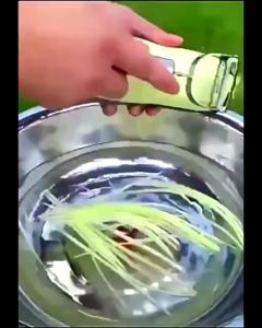 PTB023 Pisau Pengupas Kulit Sayuran 2 in 1 Multifungsi Pengiris Buah Bahan Stainless