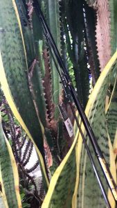 Joran castom scorpions ev 14 16 lb 180 165 cm