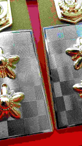 PANGKAT LURAH - PANGKAT KADES - PANGKAT KEPALA DESA