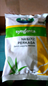 . BENIH JAGUNG NK 6172 PERKASA 1 KG