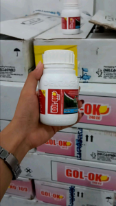 HERBISIDA GOL-OK 240 EC 100ML/250ML