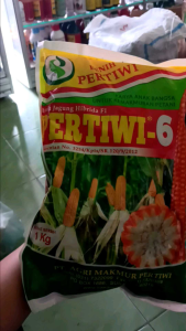 BENIH JAGUNG PERTIWI 6 1KG