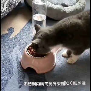 Pet Bowl 2 IN 1 Double Cat Dog Round Bowls/Bekas Makanan Kucing Ancing