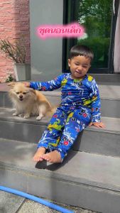 ชุดเด็ก ชุดนอนเด็ก ลายไดโนเสาร์ แขนยาวขายาว ผ้าไมโครนิ่มใส่สบาย โพลีเอสเตอร์  ทีเร็กซ์ (ย+ย) แขนยาว+ขายาว