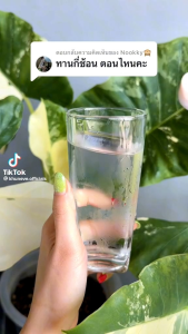 โปรที่4วิตตามินส้ม4ชิ้น+โลชั่นบูทเตอร์ผิวขาว×2สูตรผิวขาวใส รวม6ชิ้นจุกๆในราคาเต็ม1000บาท ส่งฟรี 