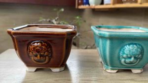 Ceramic Glazed Pots: Durable & Versatile Containers for Indoor Plants