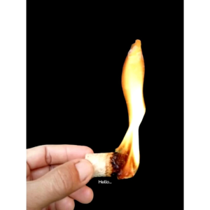 Fire Wood Starter Natural/Pematik Pembakaran Alami