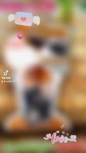 ป้ายเฉาก๊วยนมสด ป้ายสแตนดี้เฉาก๊วยนมสด