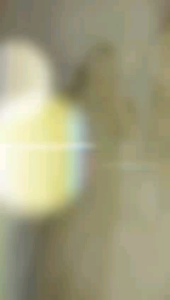 daster wanita dewasa