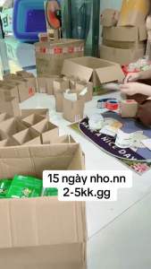 TPBS- Viên uống Thảo mộc Linh Chi hàn quốc túi 15 viên