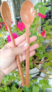 muỗng gỗ dùng nuôi nấm kefir scoby men sữa viili kích thước 4x23cm muỗng khuấy