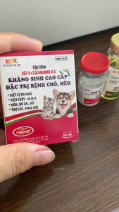 [tặng kim+xilanh] Cặp Cef5 + GluKc (tiêm) tiêu chảy đi kiết ho viêm phổi viêm vú viem tử cung( an toàn cho thú cưng mang thai hoặc cho con bú)