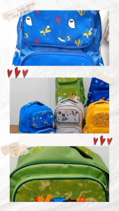 Tas Sekolah Anak Laki Laki Vitto Explore Backpack Free Rain Cover