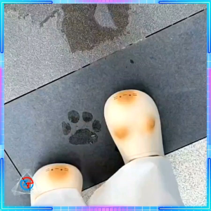 Dép Sục Lông Hình Mèo CuTe