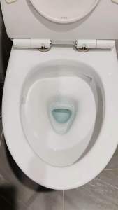 Chai Thả Bồn Cầu Hàn Quốc Chai Vệ Sinh Toilet Khử Mùi Diệt Khuẩn Cao Cấp