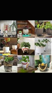 Chậu trồng cây 3Chân gốm XK US khắc tạo men 🌈 trồng cây trang trí nhà văn phòng