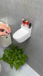 马桶烟灰缸 (1个） Toilet Ashtray#家里有男人的卫生间马桶旁边给装一个这样的壁挂式烟灰缸吧，简单方便实用！ #烟灰缸 #家居好物分享 #马桶烟灰缸带盖🌈.