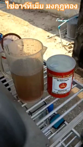 ชุดเป่าไข่อาร์ทีเมีย+สวิงกรองเปลือกแยกตัวอาร์ทีเมีย มงกุฎทอง