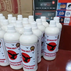 Pakan Cap Burung Walet: Pemeliharaan dan Kualitas