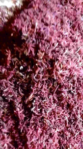 Rumput Laut Kering Iris Tipis 250g: Manfaat & Cara Menggunakannya