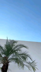 กางเกงขาสั้น 5 สี | กางเกงขาสั้นเอวสูง ผ้าบาร์บี้ กางเกงขาสั้นผู้หญิง